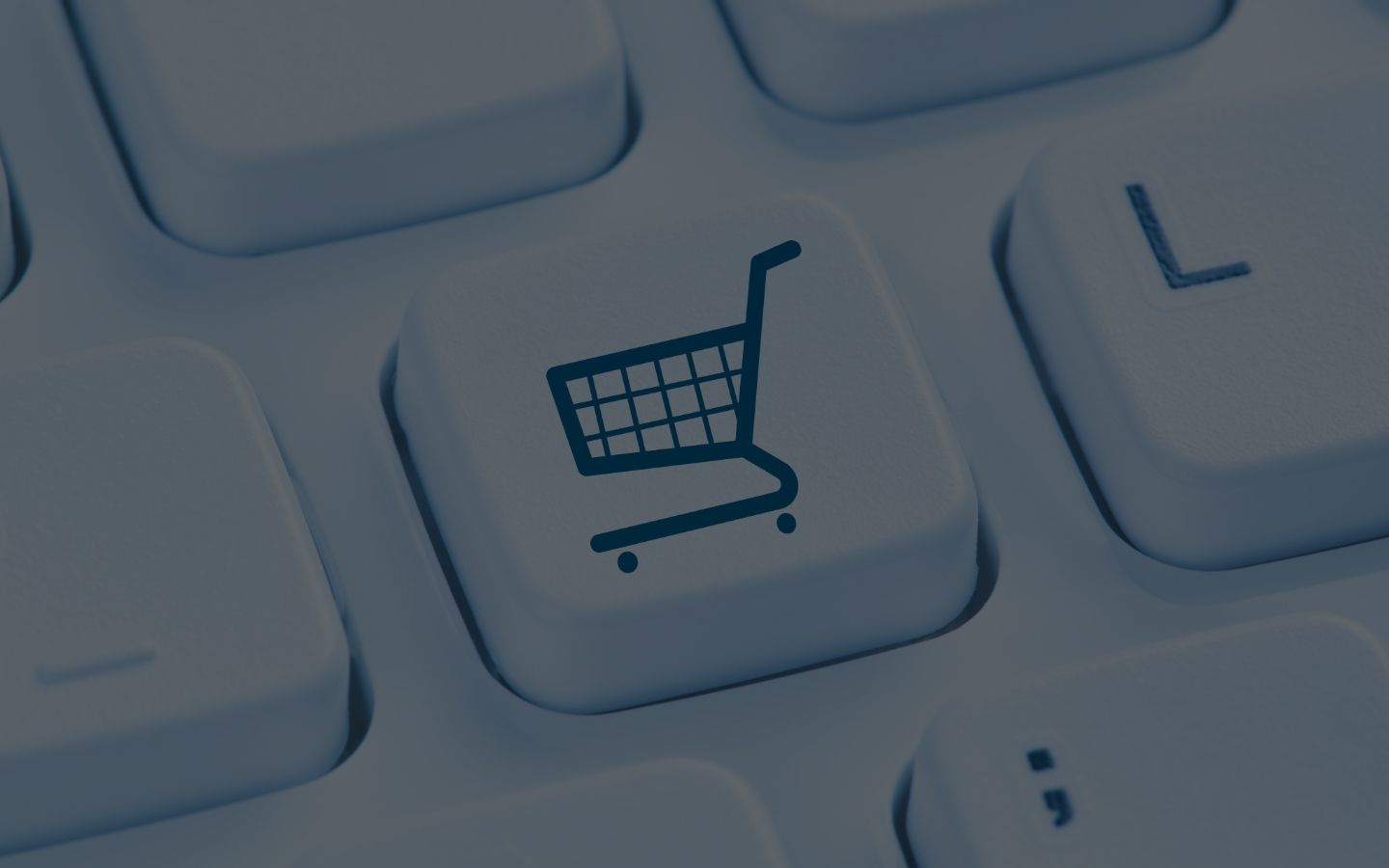 Our e-commerce migration packages